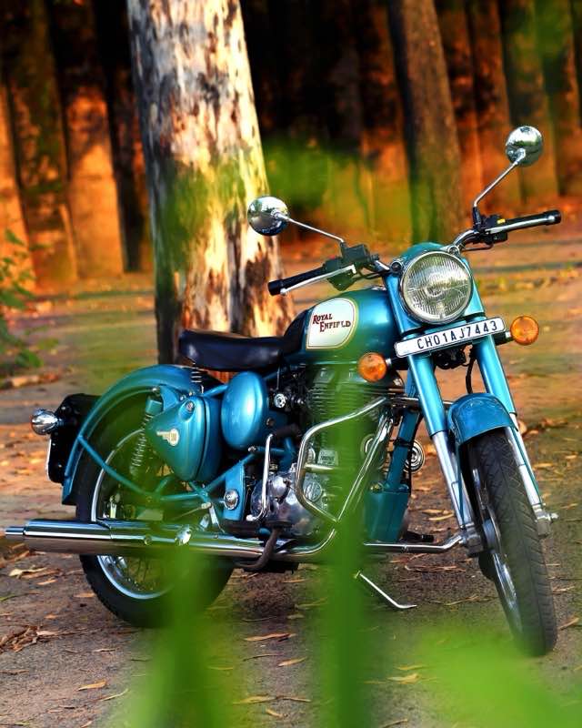 A teal Royal Enfield Classic 500 parked on a forest path at golden hour