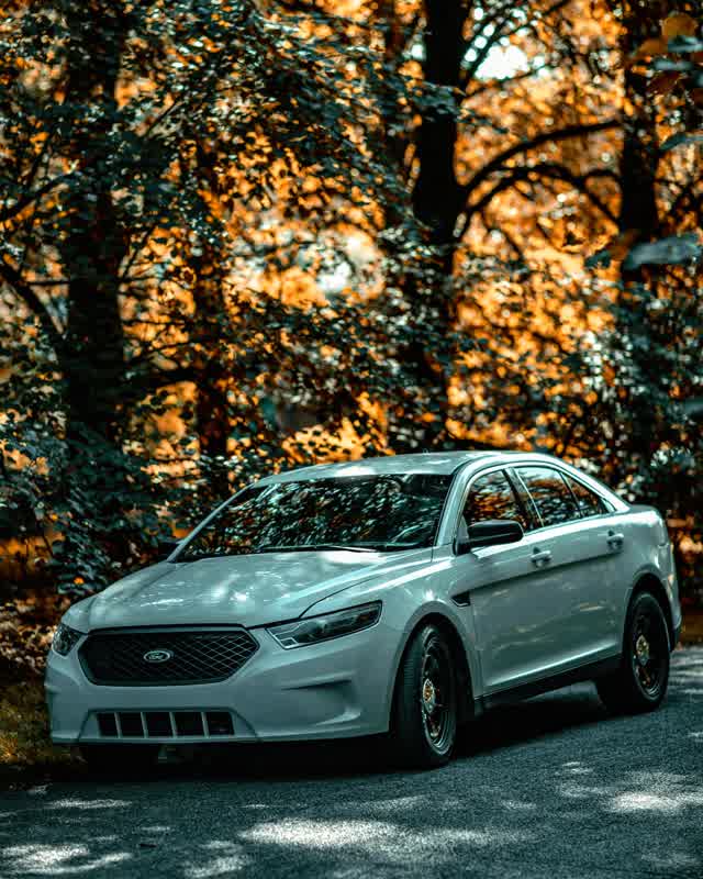 A white Ford Taurus sedan with black steel wheels parked on a road in front of autumn trees