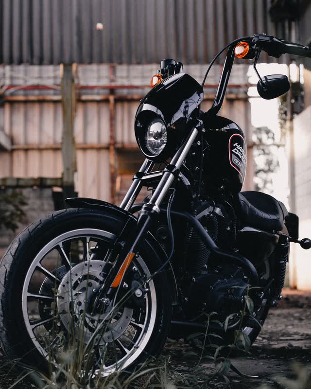 A blacked-out Harley-Davidson Sportster 883R parked on gravel inside a derelict shed